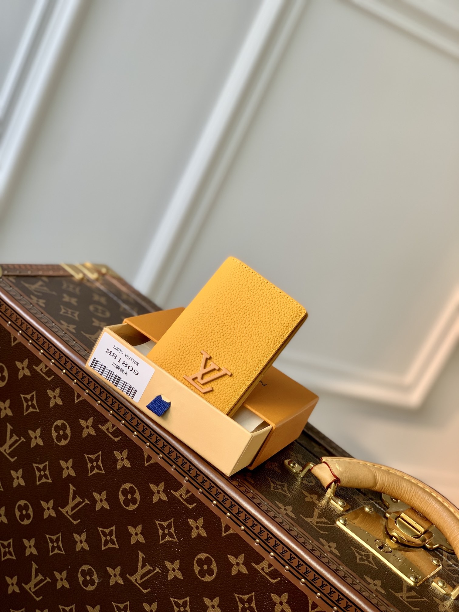 Louis Vuitton Aerogram W
